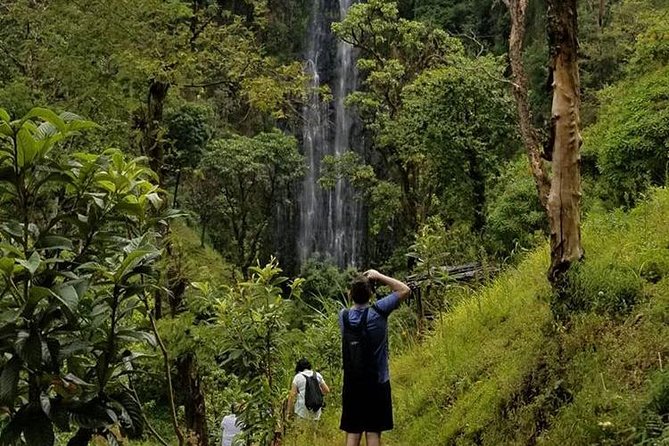 Materuni Waterfalls, Visiting Chagga Village, CoffeeTour Kikuletwa Hotsprings - Making coffee with the Chagga