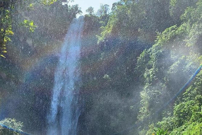 Materuni Waterfalls, Visiting Chagga Village, CoffeeTour Kikuletwa Hotsprings - Who should book this day trip?
