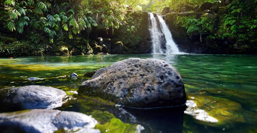 Maui: Guided Rainforest and Waterfall Walk & Swim - Key things to know before you book