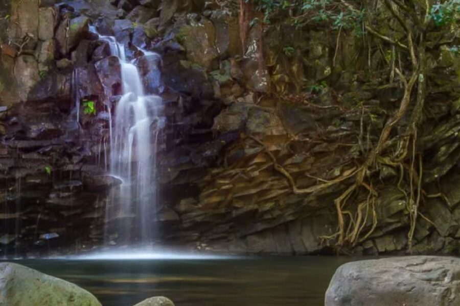 Maui: Guided Rainforest and Waterfall Walk & Swim - The value of $140 per person