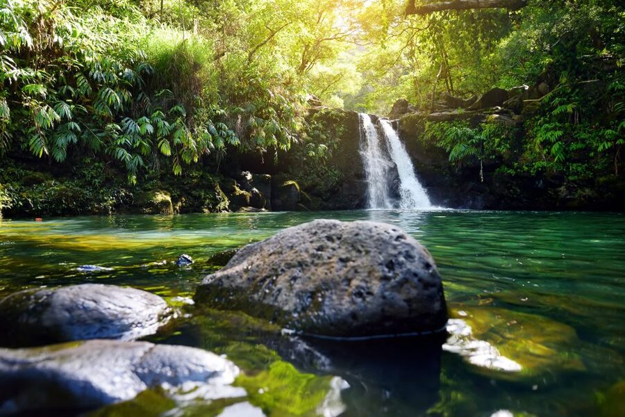 Maui: Guided Rainforest and Waterfall Walk & Swim - Meeting the guide and learning Maui’s story