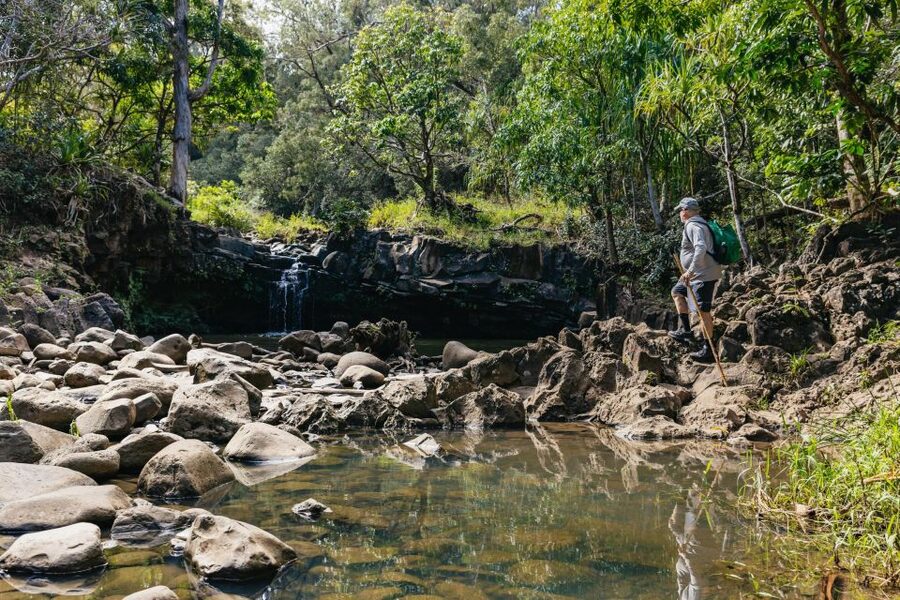 Maui: Rainforest Waterfalls Guided Hike with Picnic Lunch - Booking details worth remembering