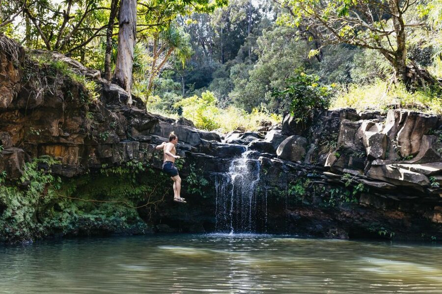 Maui: Rainforest Waterfalls Guided Hike with Picnic Lunch - Following East Maui’s streams to the waterfalls