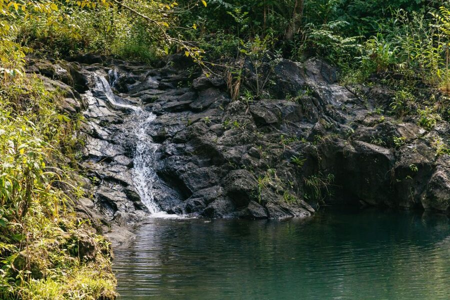 Maui: Rainforest Waterfalls Guided Hike with Picnic Lunch - Swimming under the falls and choosing your own adventure