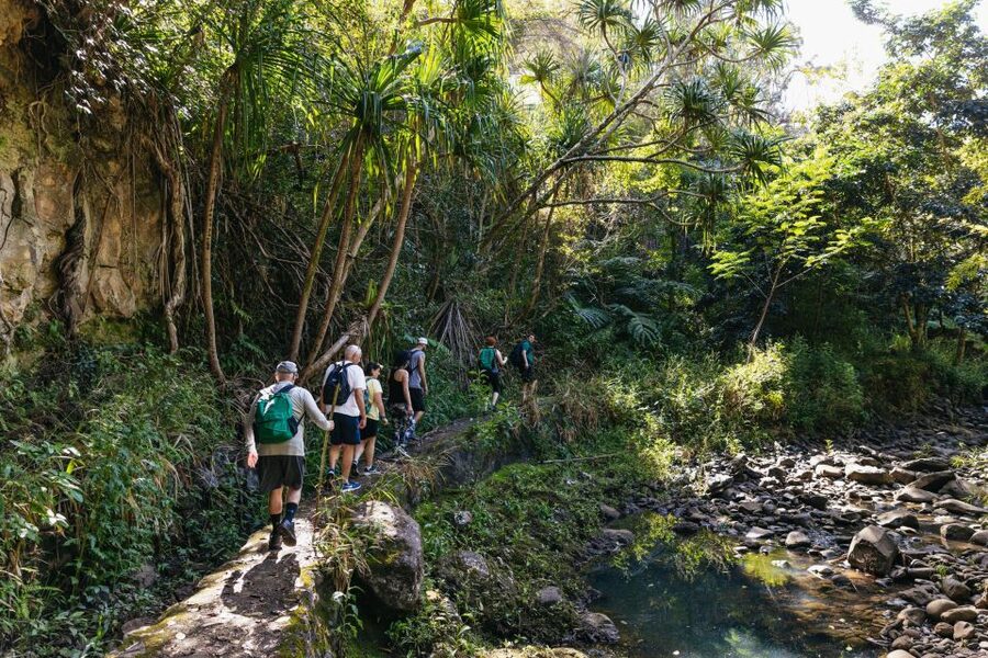 Maui: Rainforest Waterfalls Guided Hike with Picnic Lunch - Picnic lunch beside a tumbling waterfall