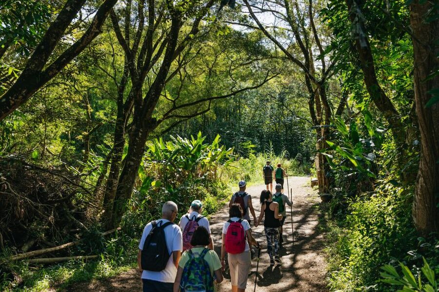 Maui: Rainforest Waterfalls Guided Hike with Picnic Lunch - How the guides shape the experience