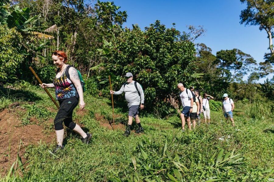 Maui: Rainforest Waterfalls Guided Hike with Picnic Lunch - Is $187 a good value?