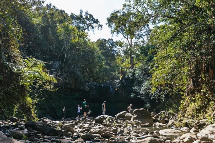 Maui: Rainforest Waterfalls Guided Hike with Picnic Lunch - Who should book this Maui waterfall hike?
