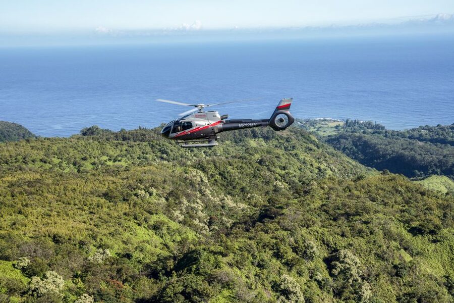Maui: Road to Hana Helicopter & Waterfall Tour with Landing - Why the rainforest landing changes the experience