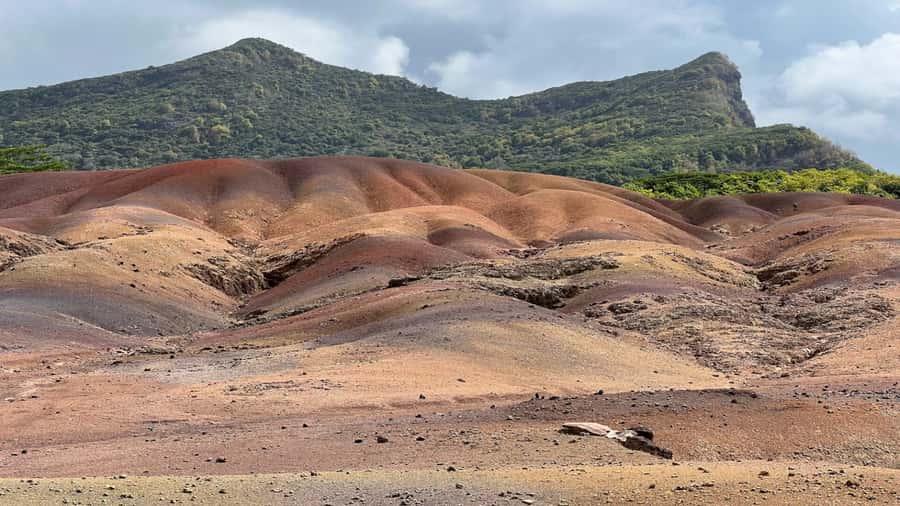 Mauritius: Chamarel 7 Colours & Waterfalls, South-West Tour - Alexandra Falls and Black River Gorges bring the forest close