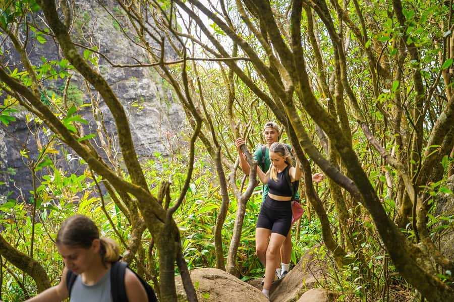 Mauritius: Exploring the Tamarind Falls with a Guide - Why the guide makes a difference