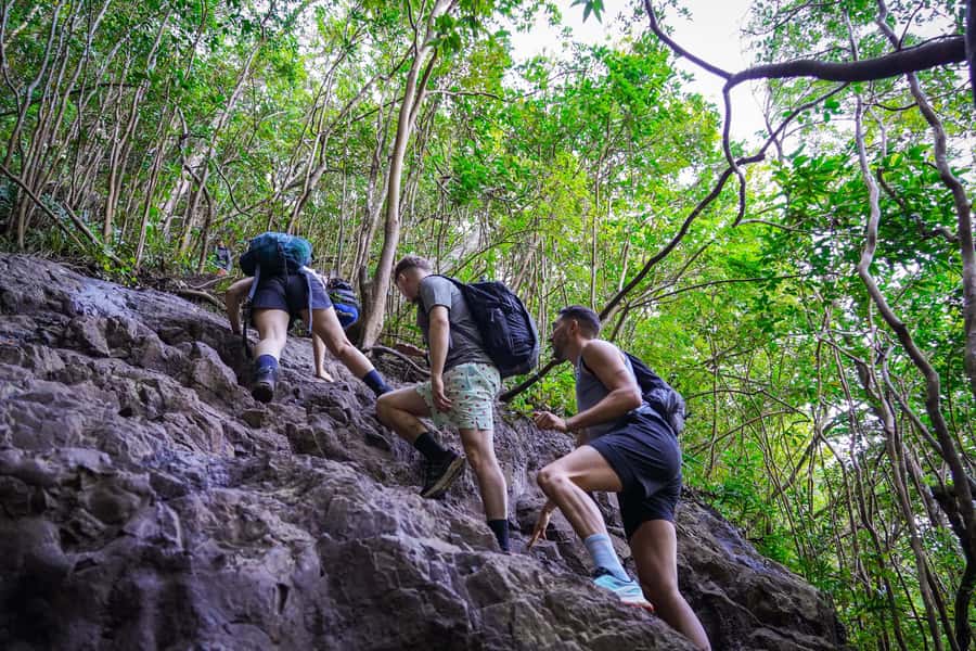Mauritius: Exploring the Tamarind Falls with a Guide - What to expect from the weather and route