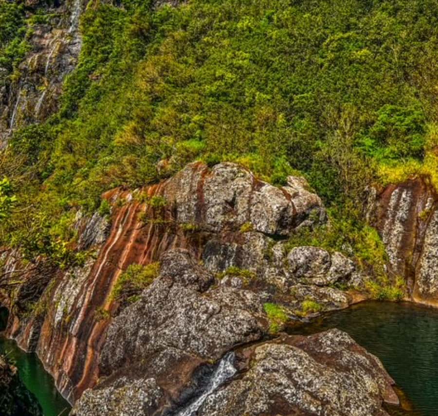 Mauritius: Full Canyon Tamarind Falls 5-Hour Hike - Seven Cascades and the rougher heart of the route