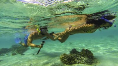 Mauritius: Ile aux Cerf Catamaran w/Waterfall Visit & Lunch