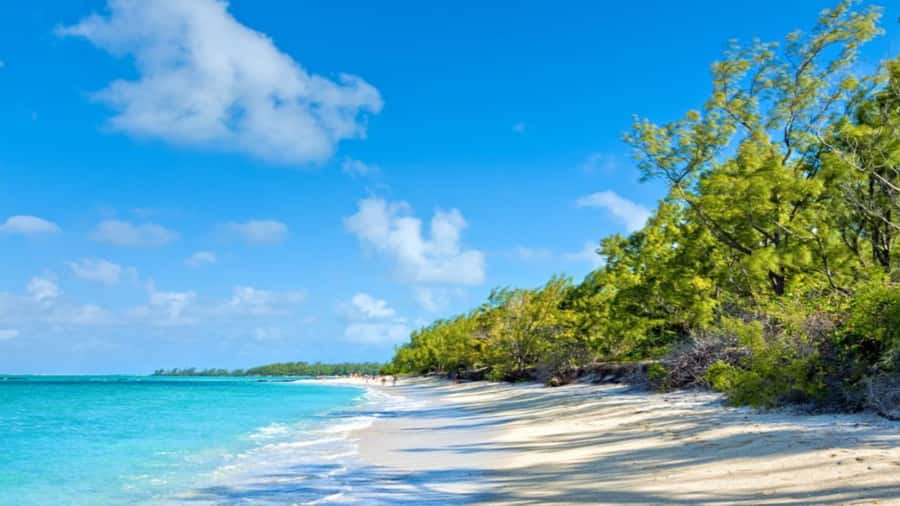 Mauritius: Ile aux Cerf Catamaran w/Waterfall Visit & Lunch - BBQ lunch, snacks, and unlimited drinks on board