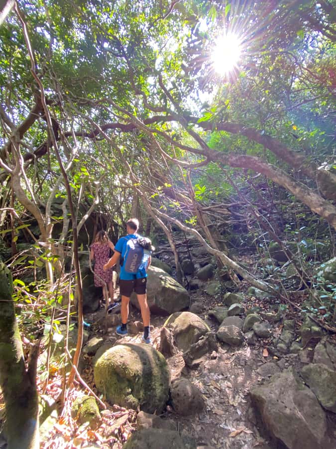 Mauritius Natirel : 7 cascades valley waterfall discovery - Local fruit, breakfast, and Creole food