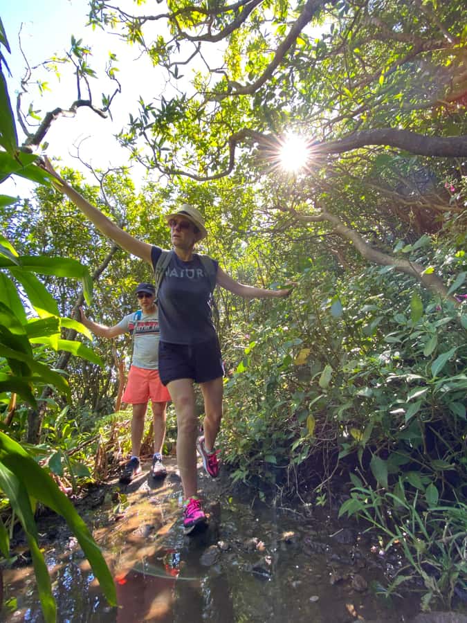 Mauritius Natirel : 7 cascades valley waterfall discovery - Who should choose this waterfall trip?