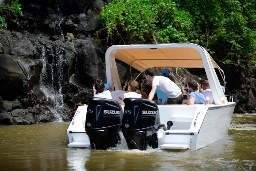 Mauritius: Speedboat Ile aux Cerfs, GRSE Waterfall, BBQ, Bar - Key things to know before you go