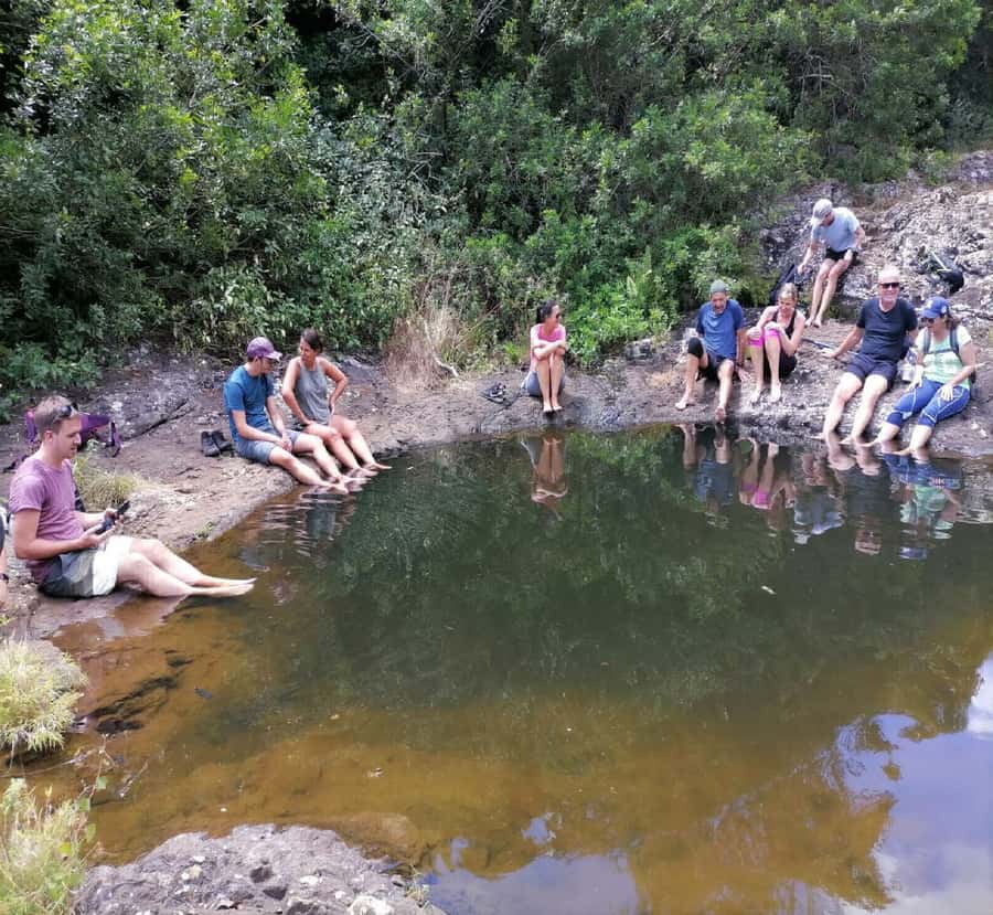 Mauritius: Tamarind Falls Guided Hike with Swim and Lunch - Picnic lunch beside the falls