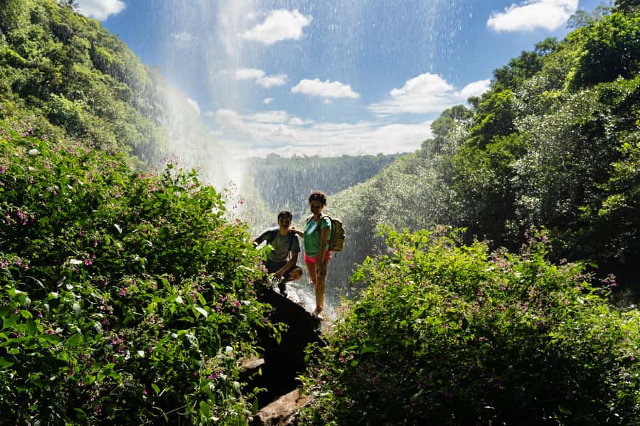 Mauritius: The Iconic Waterfalls hike + Mauritian picnic - Starting at 9:00 AM near Tamarind Falls
