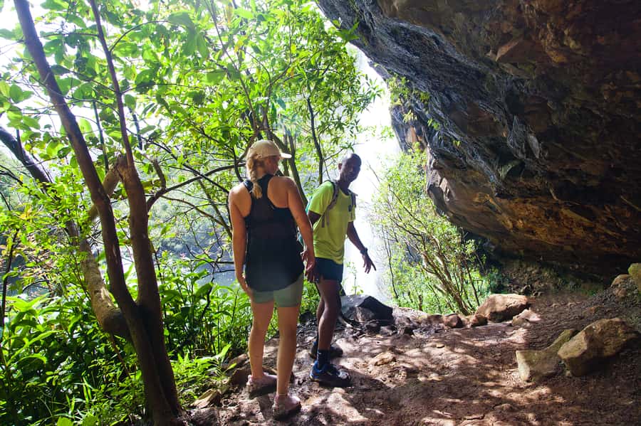 Mauritius: The Iconic Waterfalls hike + Mauritian picnic - Walking through the forest to the first falls