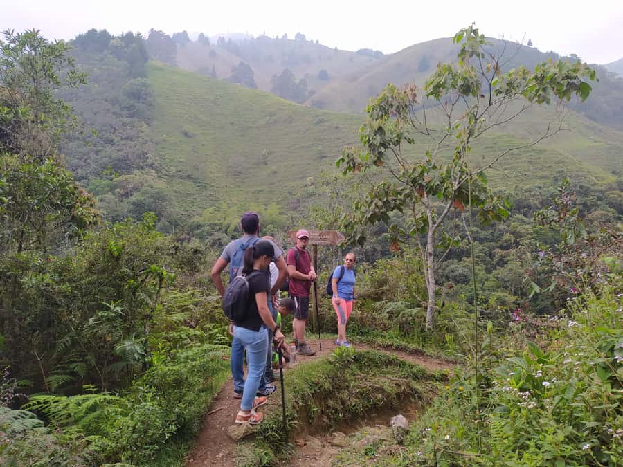 Medellín: Nature Experience & Waterfall-Hike - At a glance