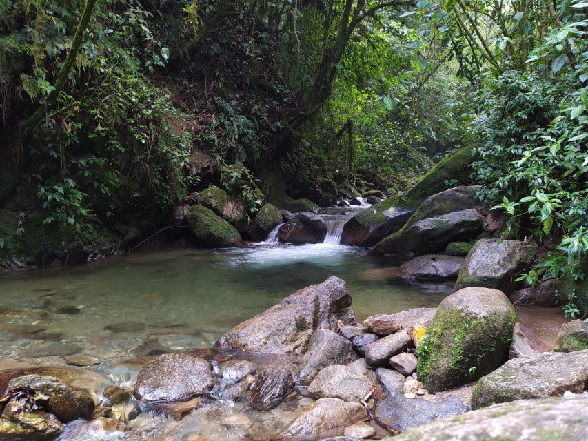 Medellín: Nature Experience & Waterfall-Hike - Practical preparation for a wet trail