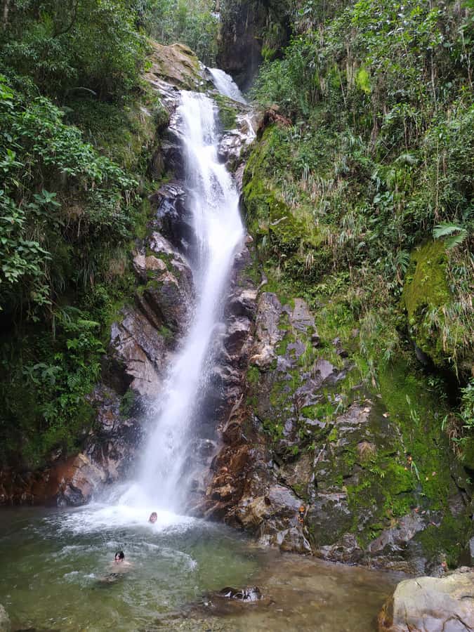 Medellín: Nature Experience & Waterfall-Hike - A different view of Medellín and Antioquia