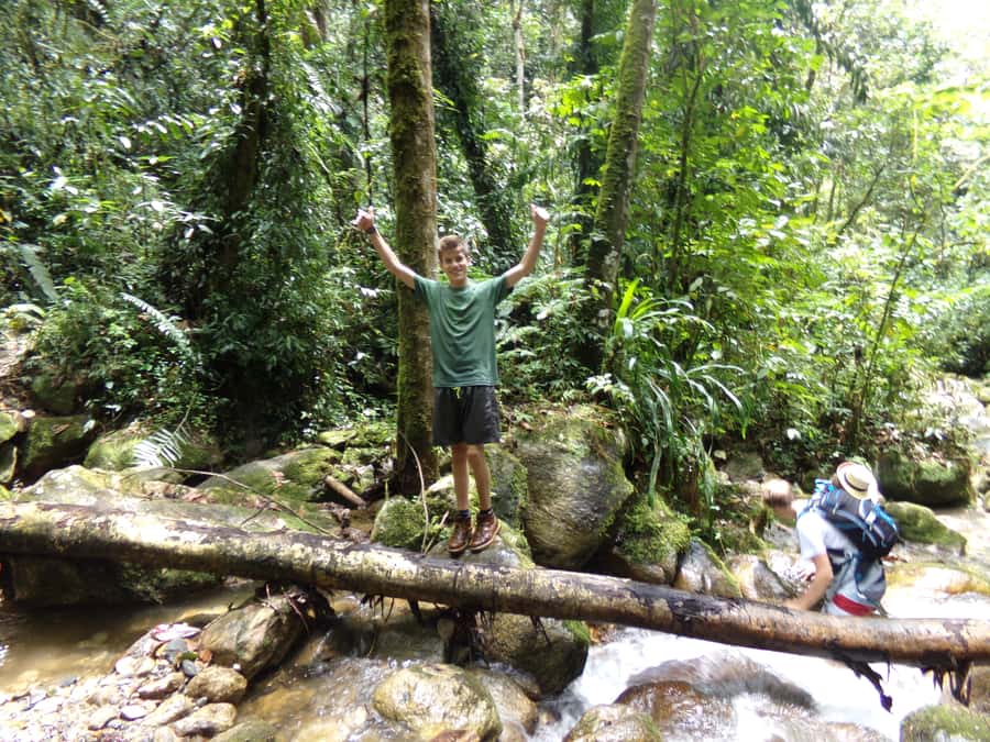 Medellín: Nature Experience & Waterfall-Hike - The 90-minute walk beside Rio Miel