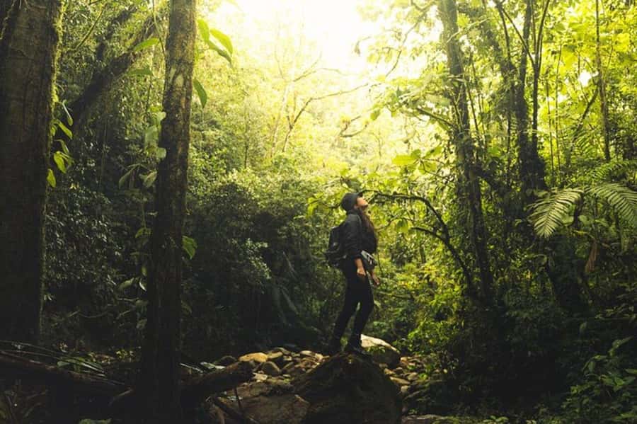 Medellín: Secret Waterfall Hike Tour with Snack and Coffee - Sebastian, Adrian, Alejo, and the guiding style