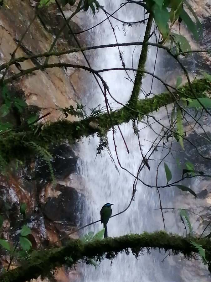 Medellín: Secret Waterfall Hike Tour with Snack and Coffee - Coffee, sandwich, banana, and a needed pause