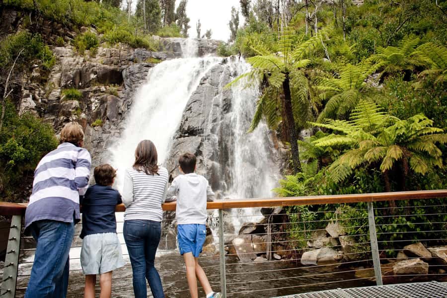 Melbourne: Lake Mountain Snow Day and Waterfalls & Chocolate - Why this Lake Mountain trip works well
