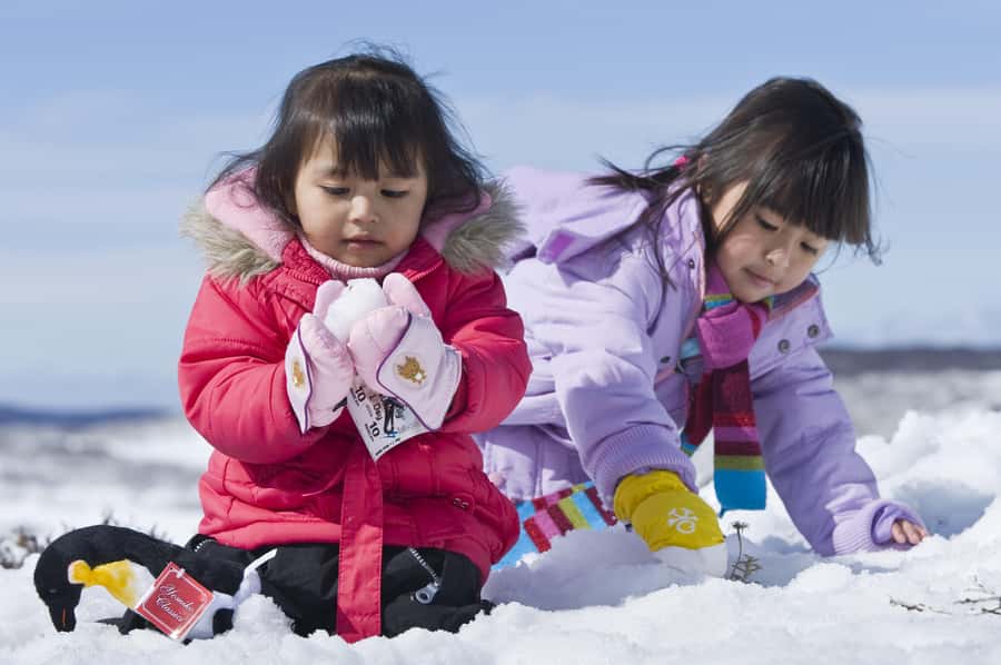 Melbourne: Lake Mountain Snow & Waterfalls Guided Tour - Should you book the Lake Mountain tour?