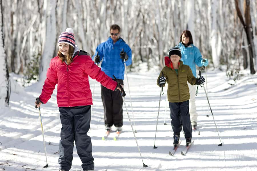 Melbourne: Lake Mountain Snow & Waterfalls Guided Tour - Practical tips for a smoother day