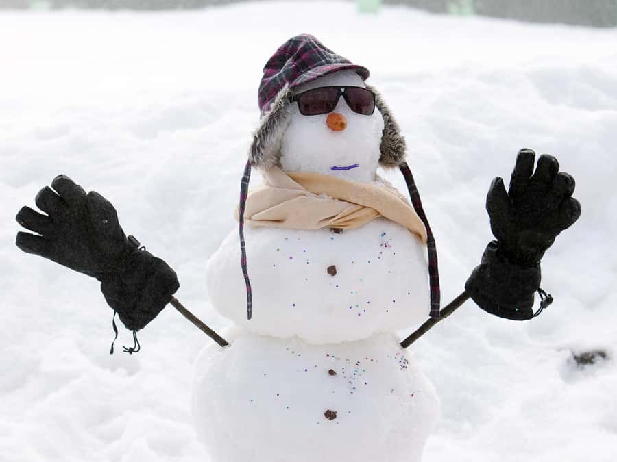 Melbourne: Lake Mountain Snow & Waterfalls Guided Tour - Three hours of snow play at Lake Mountain