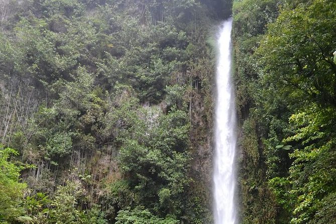 Middleham Falls Hike and Ti'tou Gorge Half-Day Excursion - Key points to know before you go