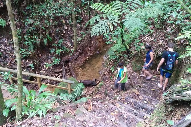 Middleham Falls Hike and Ti'tou Gorge Half-Day Excursion - Why this Dominica combination works so well