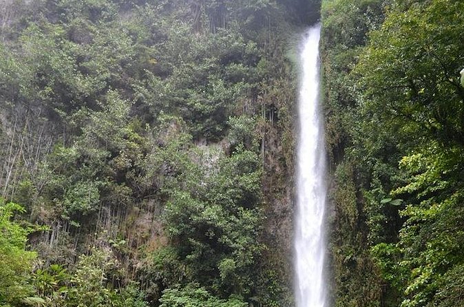 Middleham Falls Hike and Ti'tou Gorge Half-Day Excursion - What is included for $130