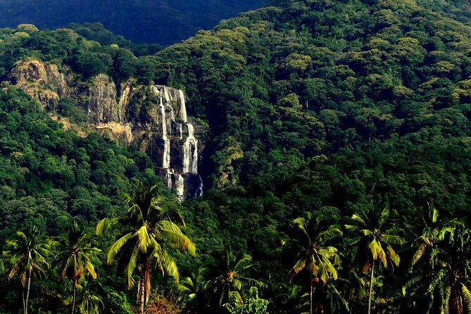 Mikumi National Park & Udzungwa Water Falls 3 Days Group Tour - Quick points before you book