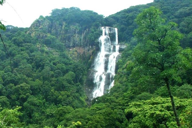Mikumi National Park & Udzungwa Water Falls 3 Days Group Tour - Why this route works from Dar es Salaam