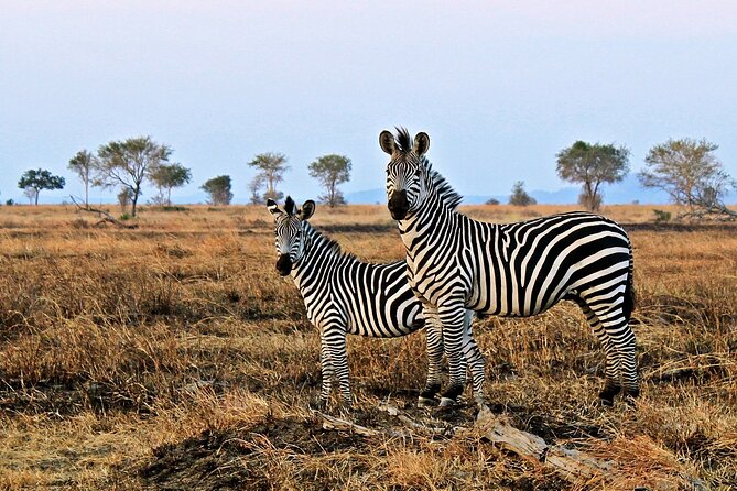 Mikumi National Park & Udzungwa Water Falls 3 Days Group Tour - Day three: the return journey and optional cultural stops