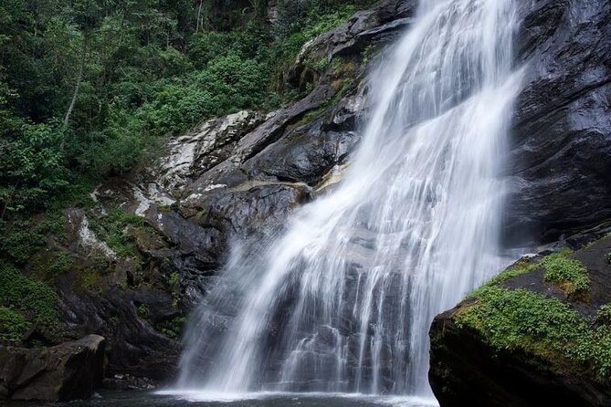 Mikumi National Park & Udzungwa Water Falls 3 Days Group Tour - How the $770 price measures up