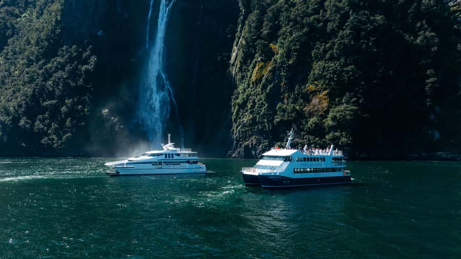 Milford Sound: Waterfalls, Wildlife, and Rainforest Cruise - Why this 105-minute cruise works well
