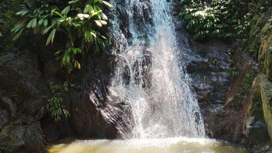 Minca: Hidden Waterfall + Coffee and Cocoa Workshop - Lunch after the water