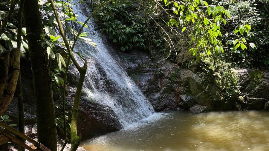 Minca: Hidden Waterfall + Coffee and Cocoa Workshop - The second 50-minute walk through the forest