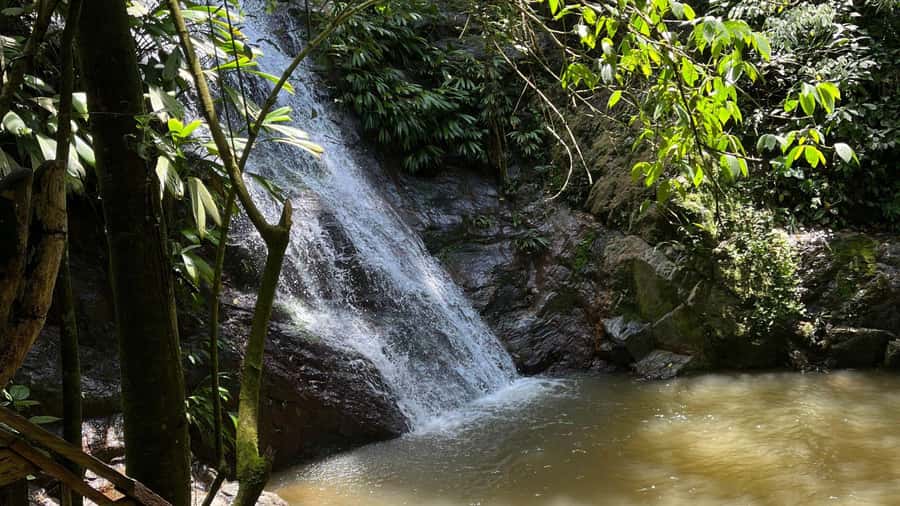 Minca: Hidden Waterfall + Coffee and Cocoa Workshop - Guides, languages, and group feel