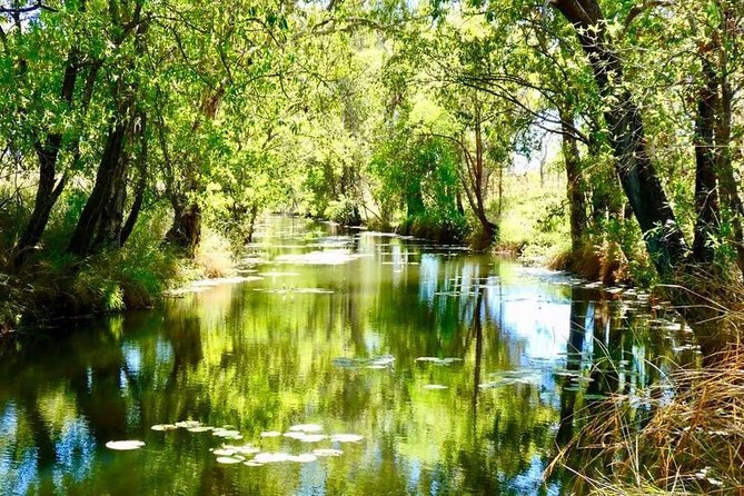 Mitchell Falls Tour - Mitchell Falls, Horizontal Falls & Cygnet Bay - What the $1,265.93 price really buys you