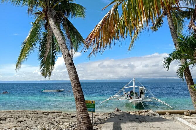 Moalboal Sardine Run, Sea Turtle and Mantayupan Falls - Equipment, guides, and the small-group advantage