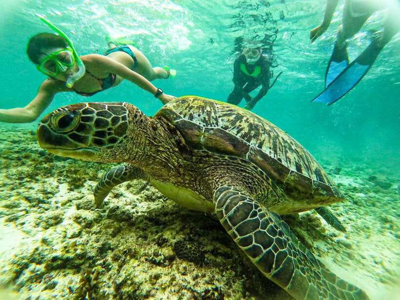 Moalboal Sardine Run, Sea Turtle & Mantayupan Falls - Transport, comfort, and the cost of convenience