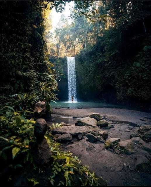 Monkey Forest, Kanto Lampo, Waterfall, Temple & Rice Terrace - Seeing Bali’s farming traditions at Tegalalang Rice Terrace